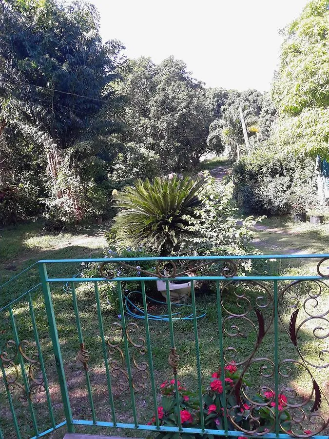 Hotel Belmont Gardens Whitehouse Jamaika